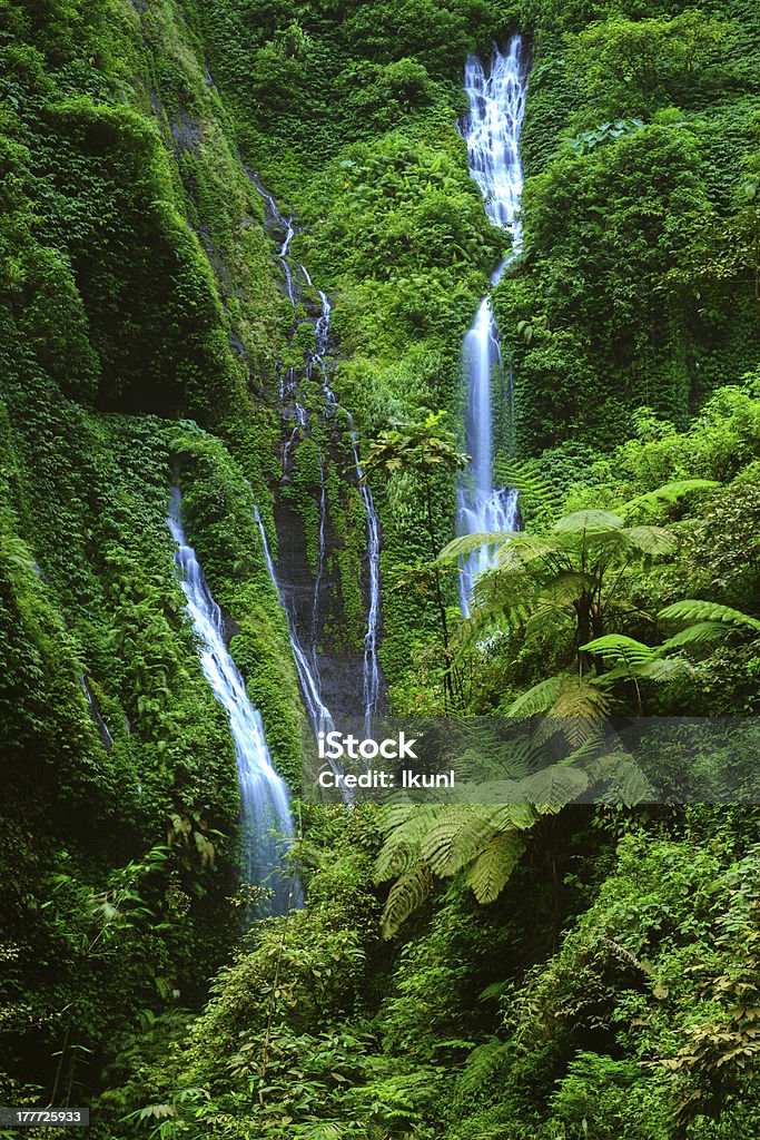 Madakaripura  Waterfall, East Java, Indonesia Beauty In Nature Stock Photo