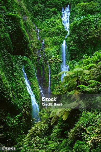 Madakaripura Waterfall East Java Indonesia Stock Photo - Download Image Now - Beauty In Nature, East Java Province, Falling Water - Flowing Water