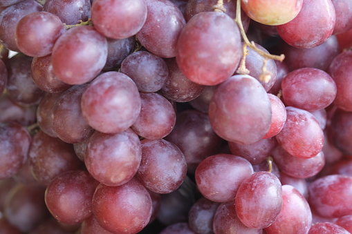 Kyoho grapes and muscats.