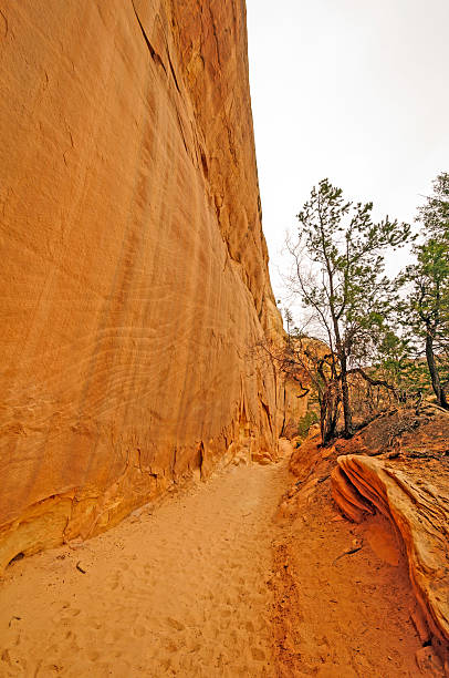 sandy trail ao longo de uma parede de red rock canyon - red rocks rock canyon escarpment imagens e fotografias de stock