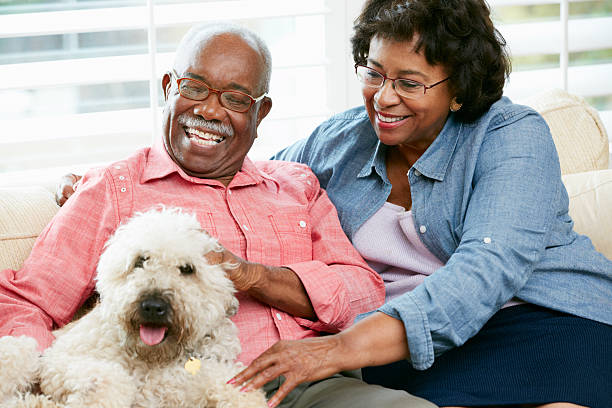 istock Happy senior couple with pet dog 177726615
