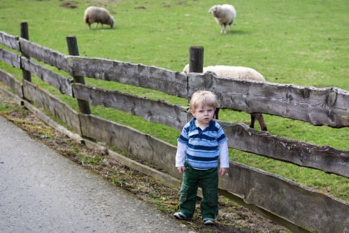 Toddler child standing in front of a wooden fence of sheep enclosure at a farm