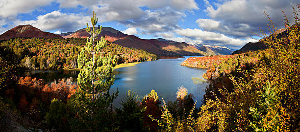 istock Lake Gillermo, national park Nahuel Huapi, Argentina 177727986
