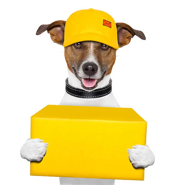 dog delivery yellow post box with cap