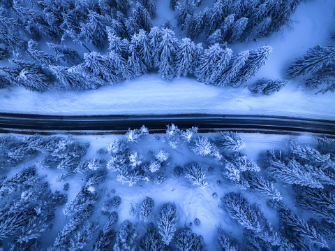 Aerial view of mountain road in fairy forest in snow in winter in blue hour. Top view from drone of highway, snowy pine trees at dusk. Beautiful rural road in woods in twilight. Travel in Slovenia