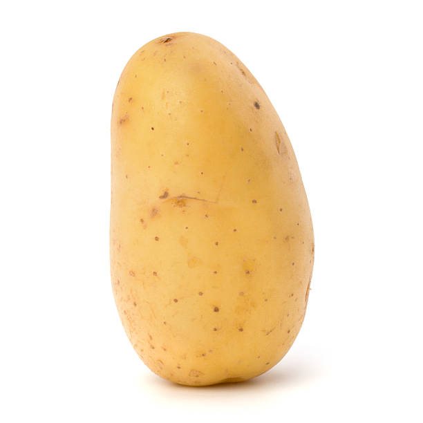 새로운 감자 덩이줄기 - new potato raw potato freshness organic 뉴스 사진 이미지