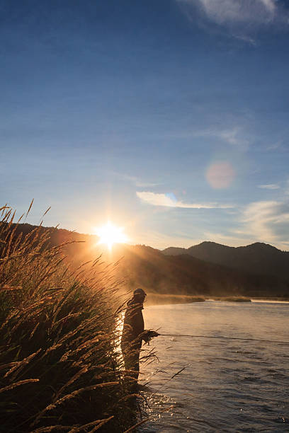 south 分岐夜明け - snake river 写真 ストックフォトと画像