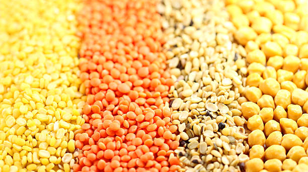 istock Four types of pulses 177730987
