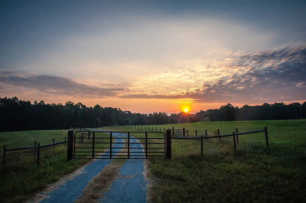 istock country road at sunrise 177732119