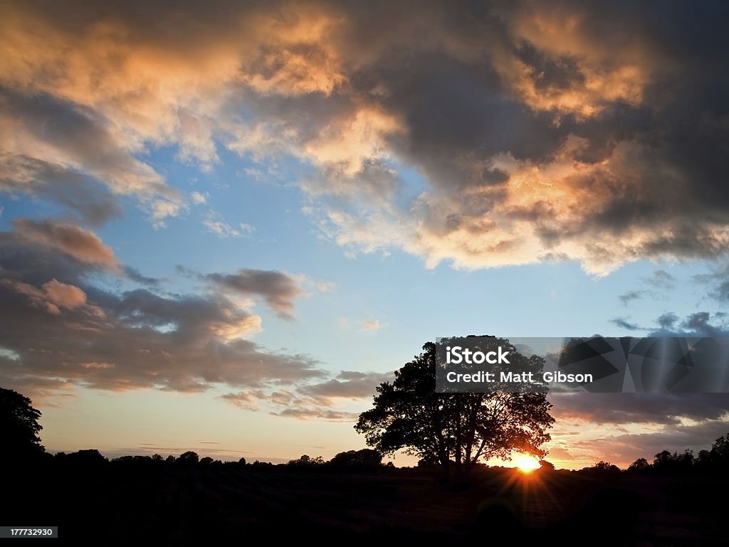 Deslumbrante pôr do sol silhueta do sol de Verão com - Royalty-free Anoitecer Foto de stock