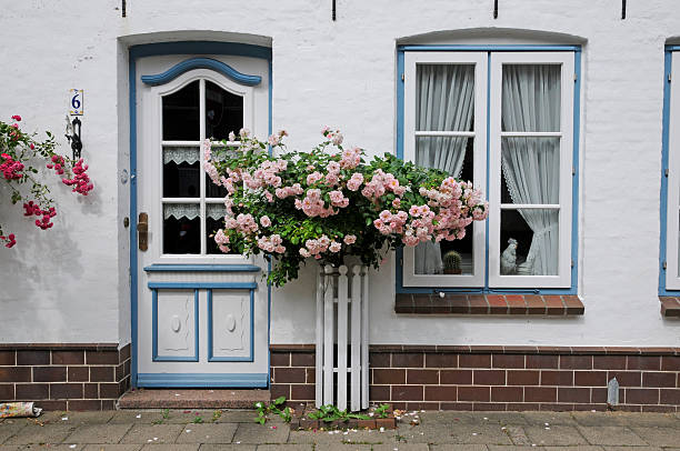 A small fisherman's house with blue shutters and flowers, in the village of L'Herbe, in Cap Ferret in the Bassin d'Arcachon