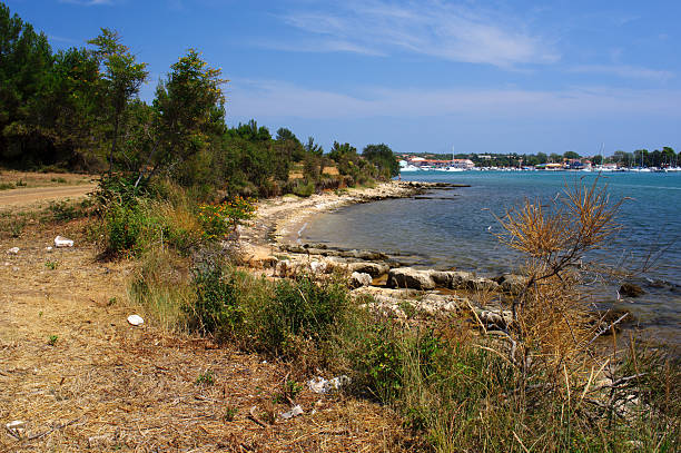 istock Landscape with harbor of Medulin 177733910