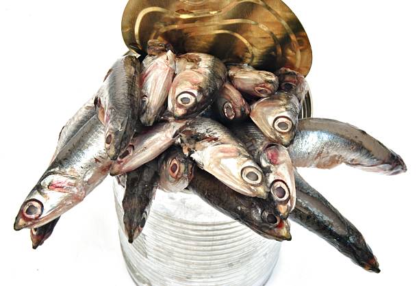 Container with anchovies