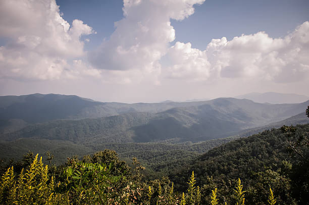 gebirge appalachian mountains von mount mitchell, dem höchsten punkt in - mount mitchell stock-fotos und bilder