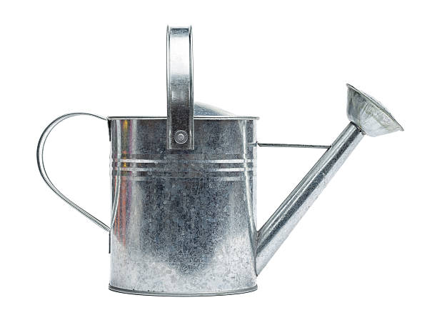 regador de metal - watering can imagens e fotografias de stock