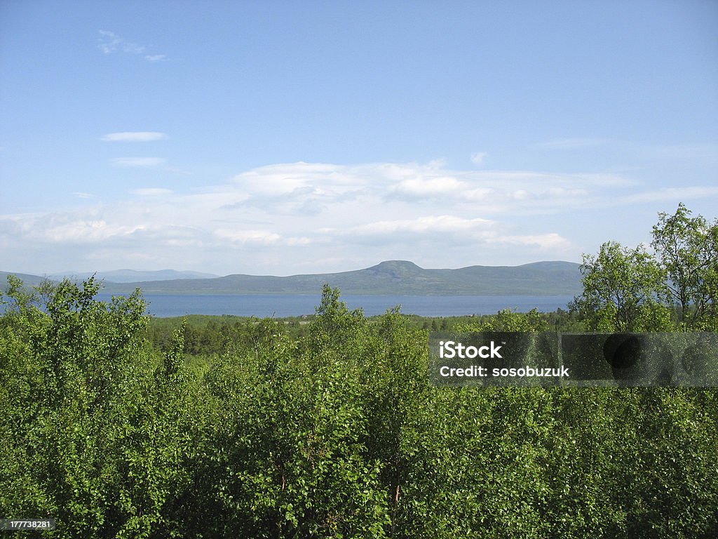 Laponia sueca - Foto de stock de Agua libre de derechos