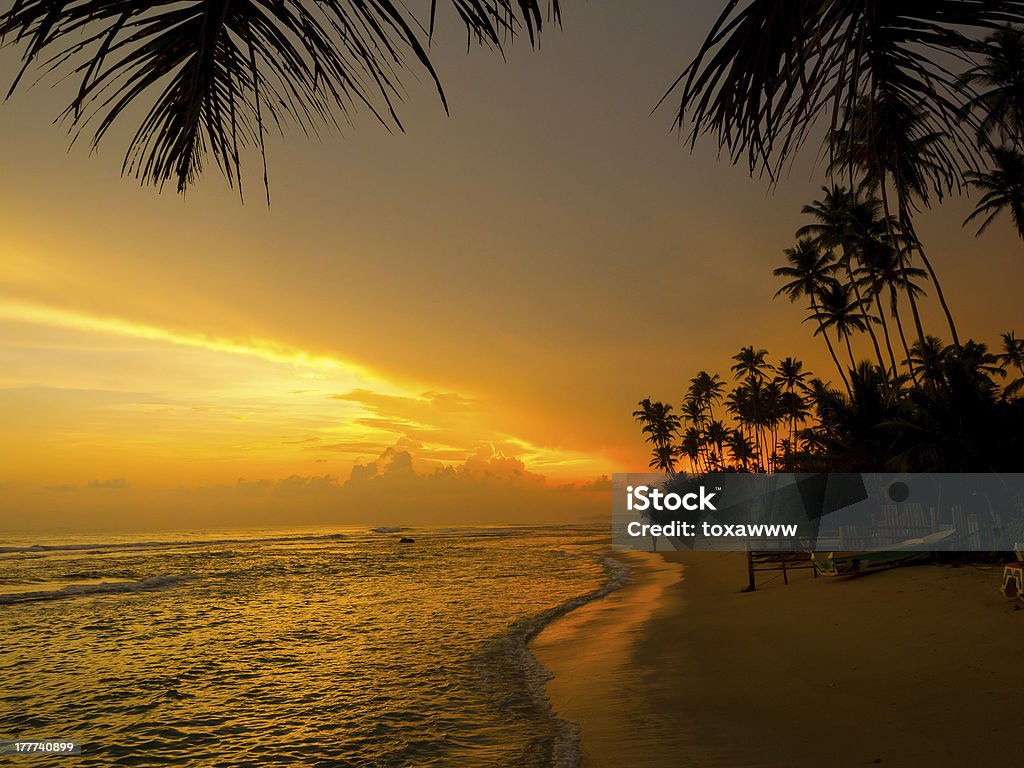 Beautiful tropical sunset Beautiful tropical sunset on a beach in Sri-Lanka Backgrounds Stock Photo