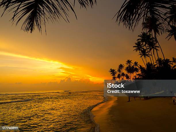 Beautiful Tropical Sunset Stock Photo - Download Image Now - Backgrounds, Beach, Branch - Plant Part