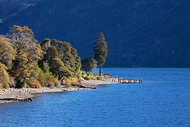 осень в горы патагонии - bariloche argentina andes autumn стоковые фото и изображения