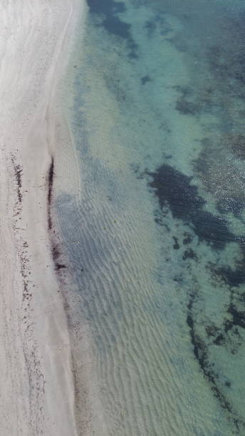 istock Shoalwater Marine Park 1777413008