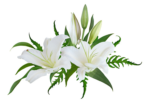 White Lily flower bouquet isolated on white background