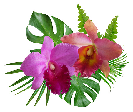 Orchid flowers and leaves isolated on white background. Flower arrangement. Floral design.