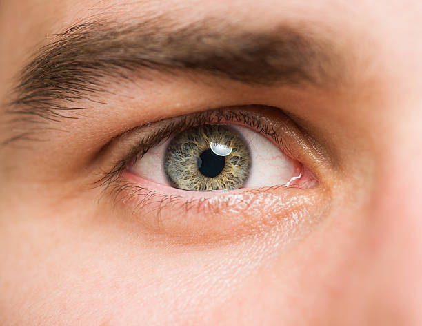 istock Close Up Of Eyes 177741662