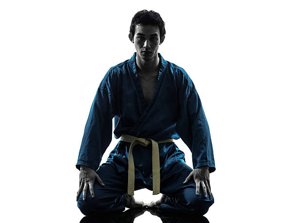 istock karate vietvodao martial arts man silhouette 177742609