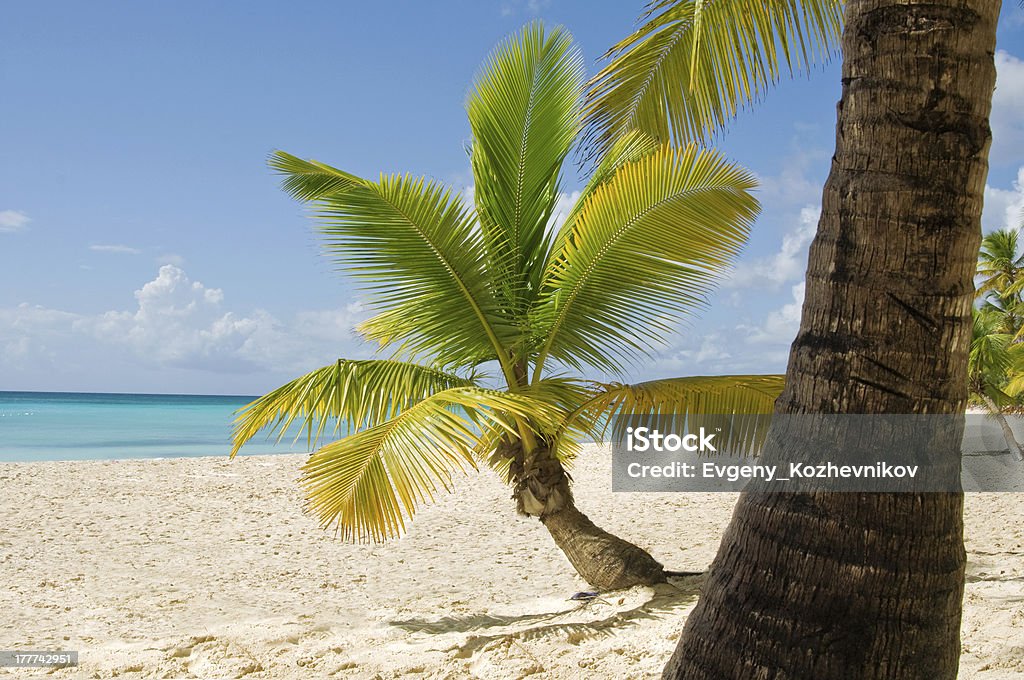 Fantastic tropical beach on the peninsula of Samana Fantastic tropical beach on the peninsula of Samana in the Dominican Republic Bay of Water Stock Photo