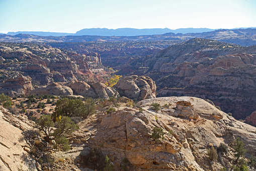 View of white sandstone canyon from one of the many Utah State Highway 12 Overlooks east from Escalante, Utah.