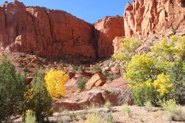 istock Autumn Colors Calf Creek #4 1777436664