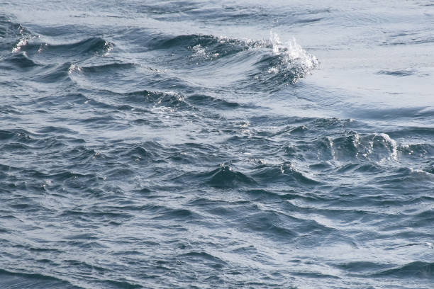 istock Wavy Seascape on a Calm Autumn Day. 1777440063