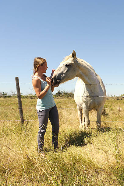 istock The girl stroking horse 177744604