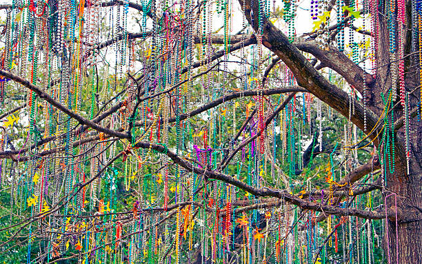 Tree Well-Dressed "This tree in the Garden District in New Orleans, Louisiana was taken February 9, 2012.  The tree was loaded with Mardi Gras beads and was a precursor of the celebrations to come." new orleans mardi gras stock pictures, royalty-free photos & images