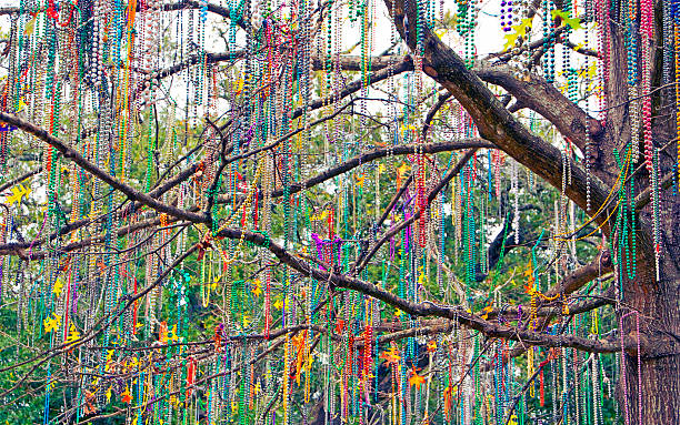 Tree Well-Dressed "This tree in the Garden District in New Orleans, Louisiana was taken February 9, 2012.  The tree was loaded with Mardi Gras beads and was a precursor of the celebrations to come." bead stock pictures, royalty-free photos & images