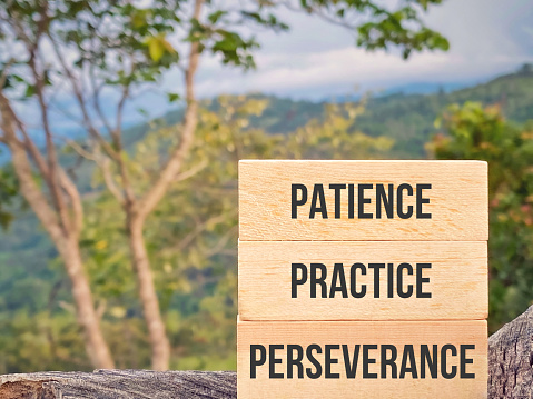 Inspirational motivational quote concept - patience practice perseverance text on wooden blocks with blurred nature background.