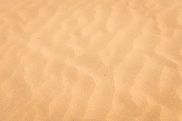 istock The background image of the sand texture created by the wind 1777461412