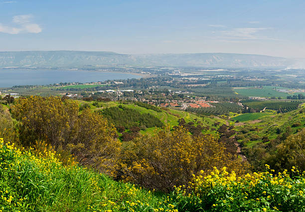 istock Galilee and Jordan valley, Israel 177746241