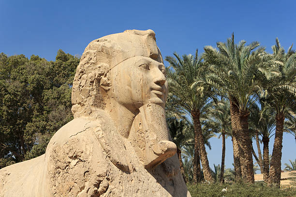 30+ The Alabaster Sphinx Of Memphis Egypt Stock Photos, Pictures