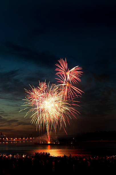 istock Brightly colorful fireworks  in the night sky 177746741