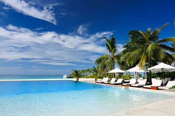 istock Luxury tropical swimming pool 177746936