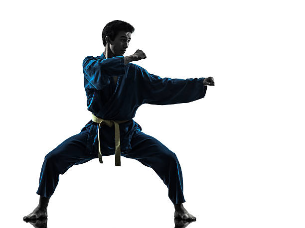 istock karate vietvodao martial arts man silhouette 177746966