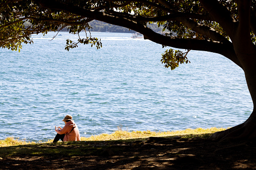 Sydney, Australia - October 29: Royal Botanical garden, woman sitting at bay near water under old fig tree and checking her phone, background with copy space, full frame horizontal composition