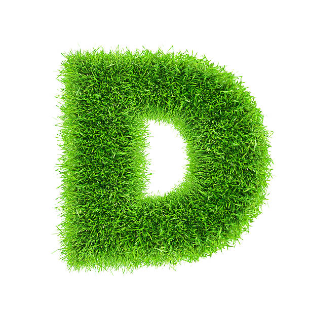 istock letter of grass alphabet 177748659
