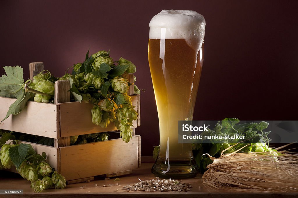 Beer and hops. Still life with beer and hops. Agriculture Stock Photo