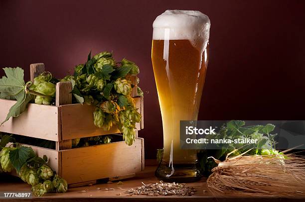 Beer And Hops Stock Photo - Download Image Now - Agriculture, Alcohol - Drink, Bar - Drink Establishment