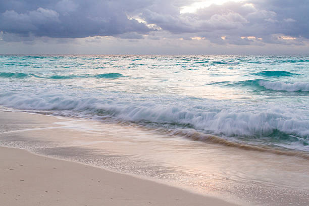 istock Beach of the Caribbean Sea 177748917