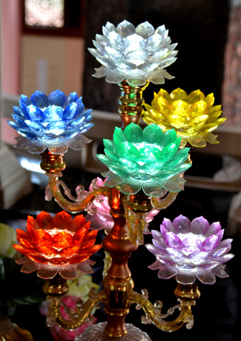 Lotus glass many colors