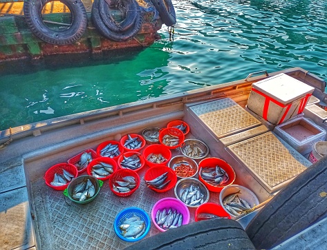 buckets of fish on boat