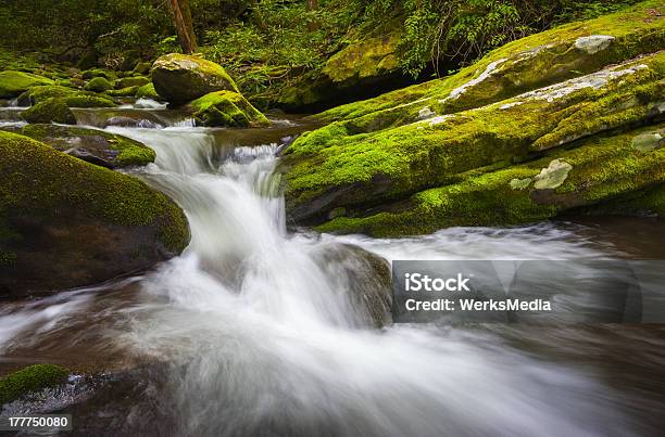 Świetny Widelec Park Narodowy Great Smoky Mountains Cascade Gatlinburg Tn - zdjęcia stockowe i więcej obrazów Appalachy